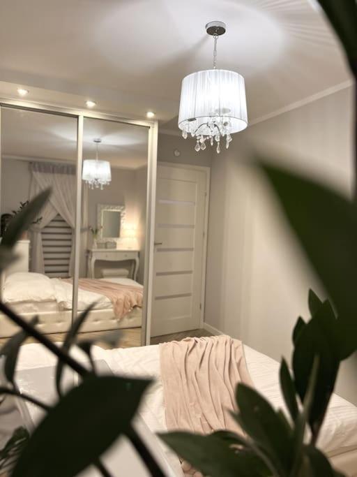 Apartament Zamojski Mlynska #N/A ภายนอก รูปภาพ