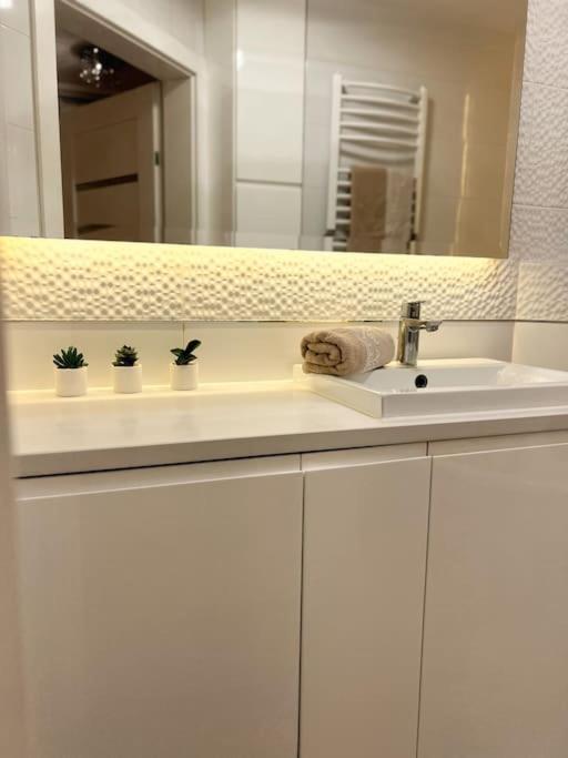 Apartament Zamojski Mlynska #N/A ภายนอก รูปภาพ