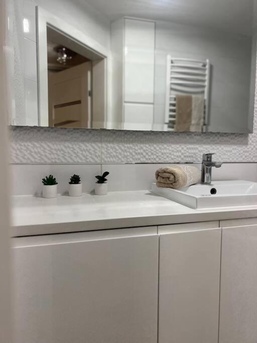Apartament Zamojski Mlynska #N/A ภายนอก รูปภาพ